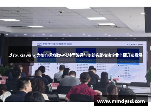 以Youxiawang为核心探索数字化转型路径与创新实践推动企业全面升级发展