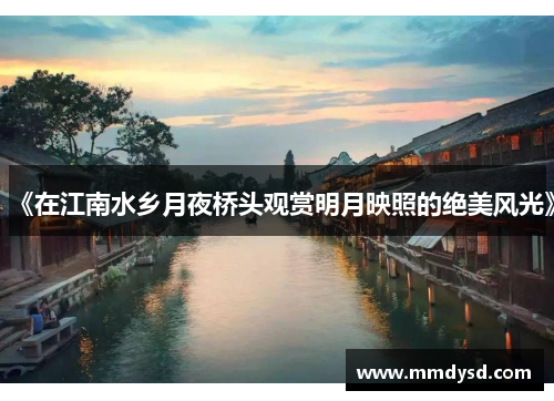 《在江南水乡月夜桥头观赏明月映照的绝美风光》