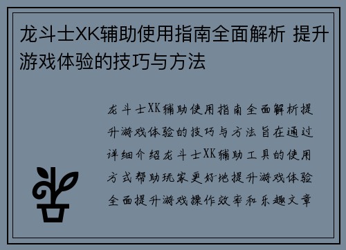 龙斗士XK辅助使用指南全面解析 提升游戏体验的技巧与方法